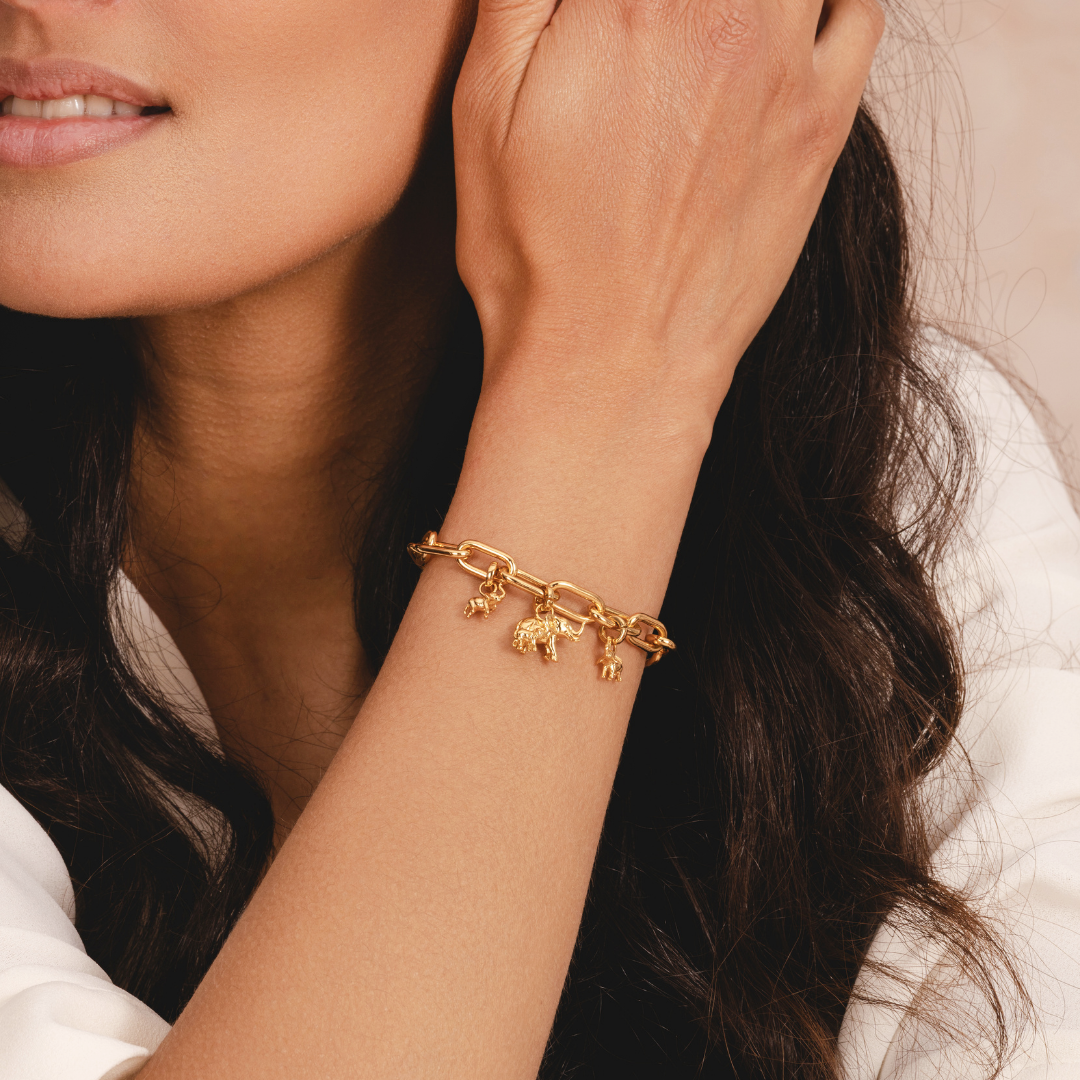 Mini baby elephant charm symbolising love and family by Rani and Co