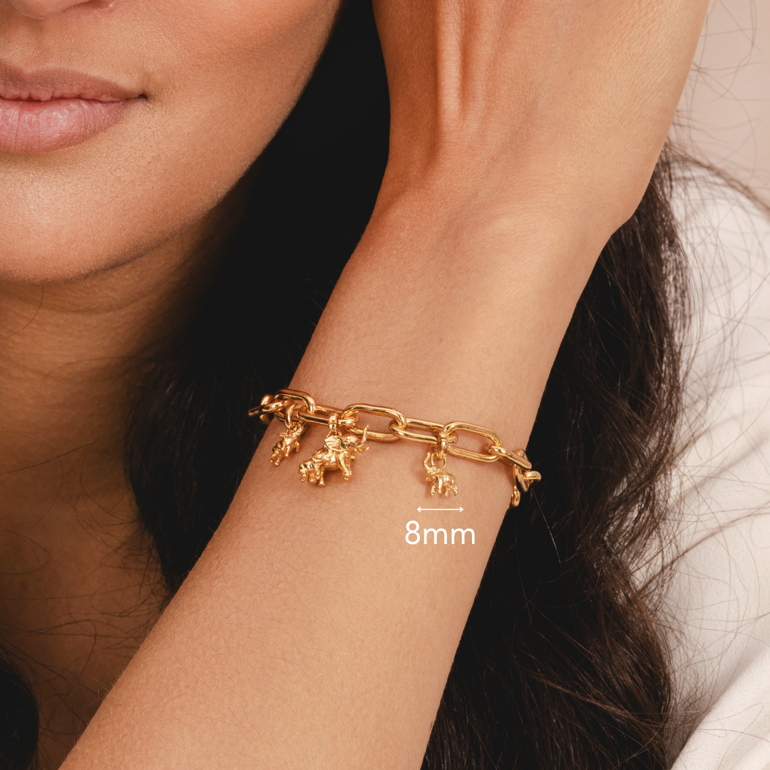 Mini baby elephant charm symbolising love and family by Rani and Co