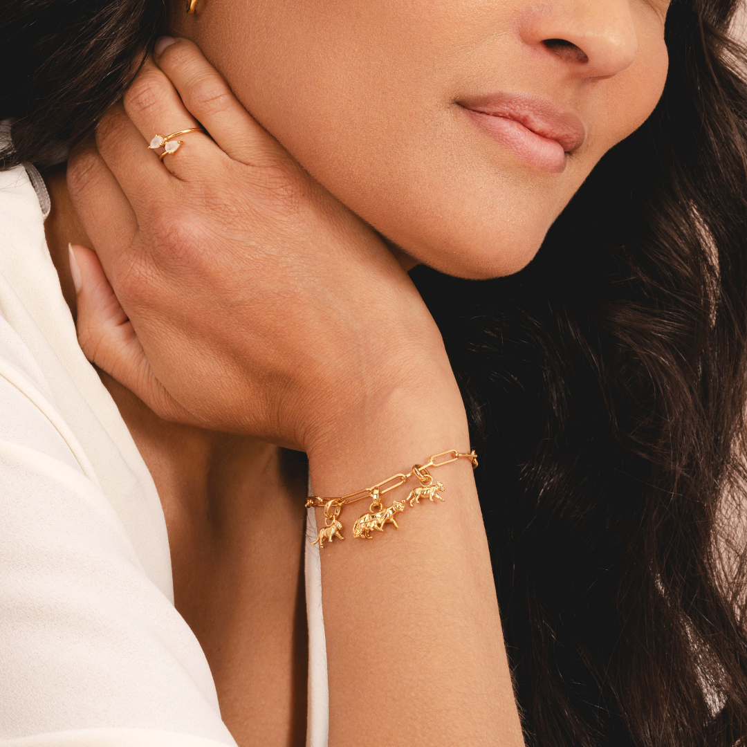 Mini lioness cub charm symbolising family and strength by Rani and Co