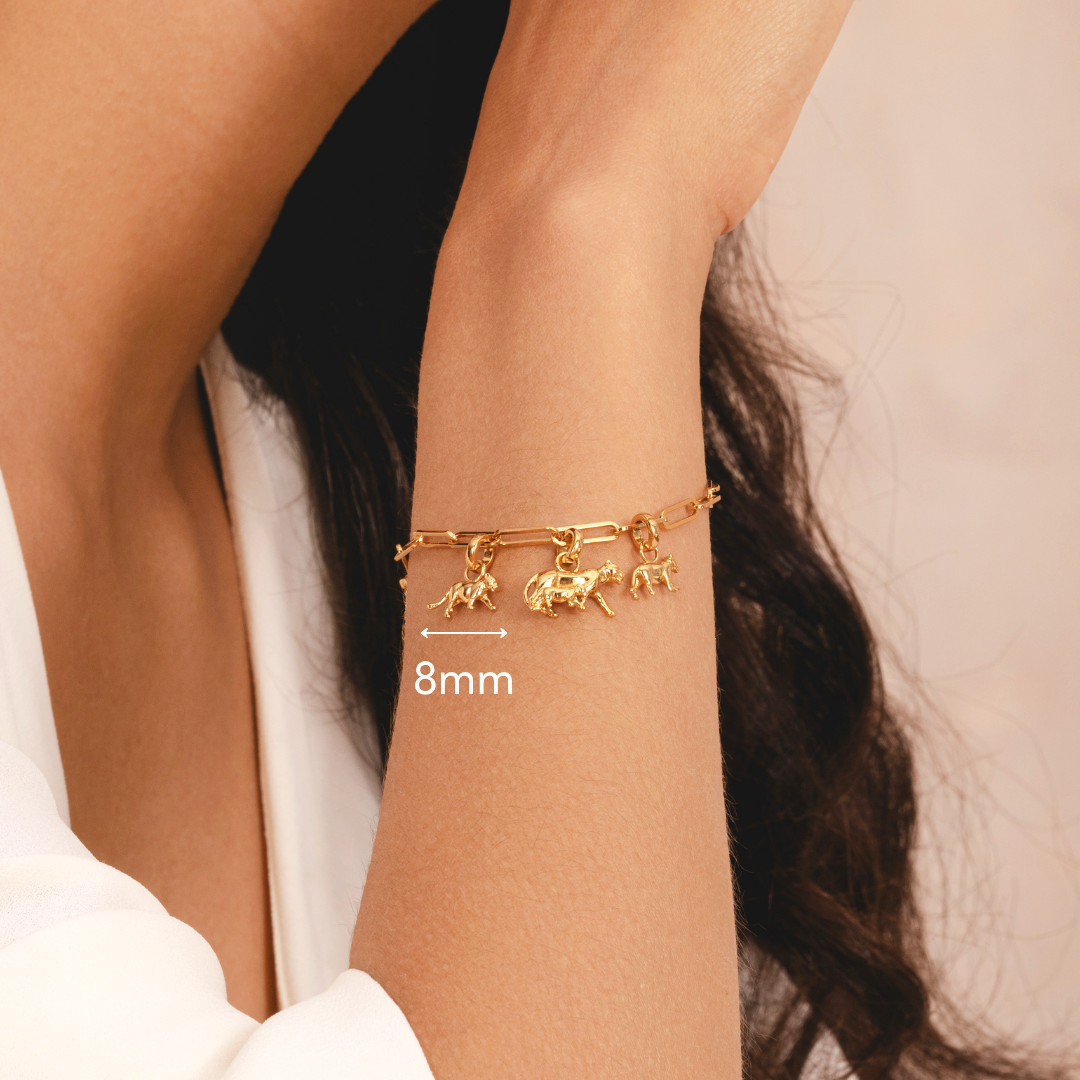 Mini lioness cub charm symbolising family and strength by Rani and Co