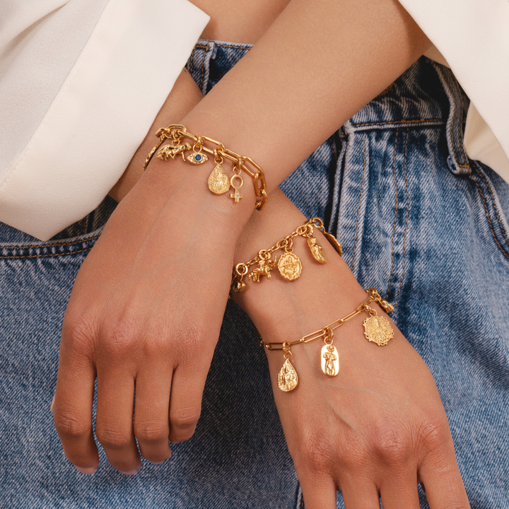 18k gold plated charms designed for charm bracelet by Rani and Co