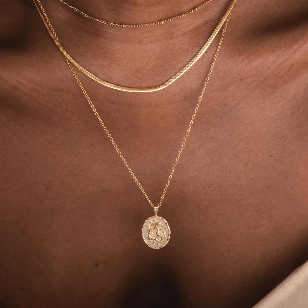 Capricorn Zodiac Necklace
