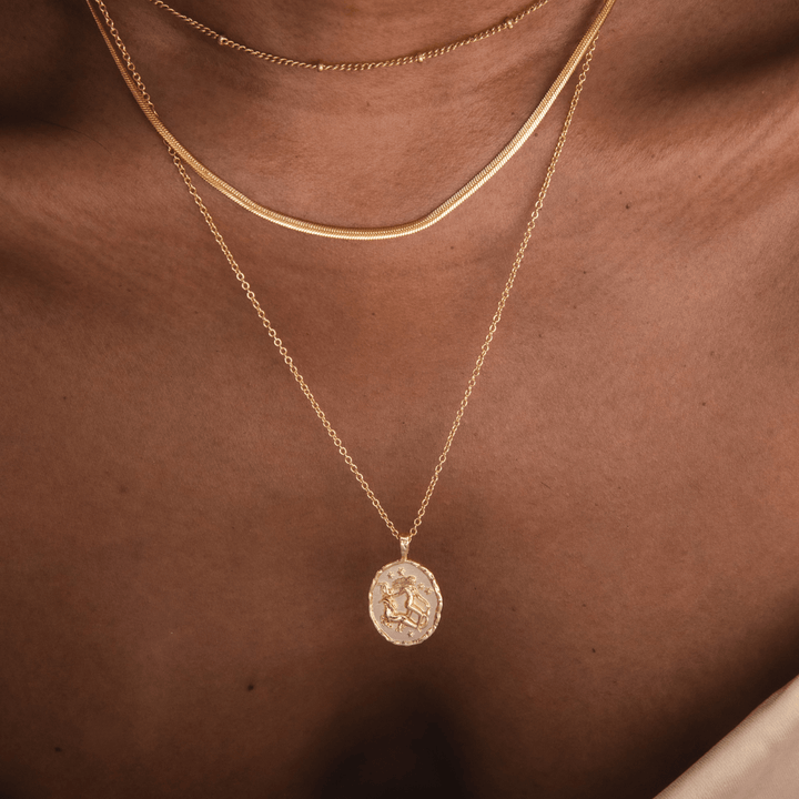 Capricorn Zodiac Necklace