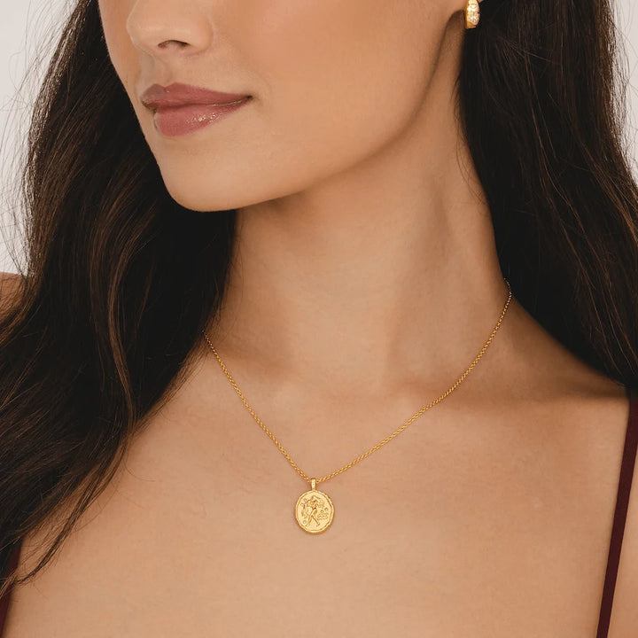 Rani & Co. Aquarius astrology necklace 18k gold, water bearer star sign birthday gift for her