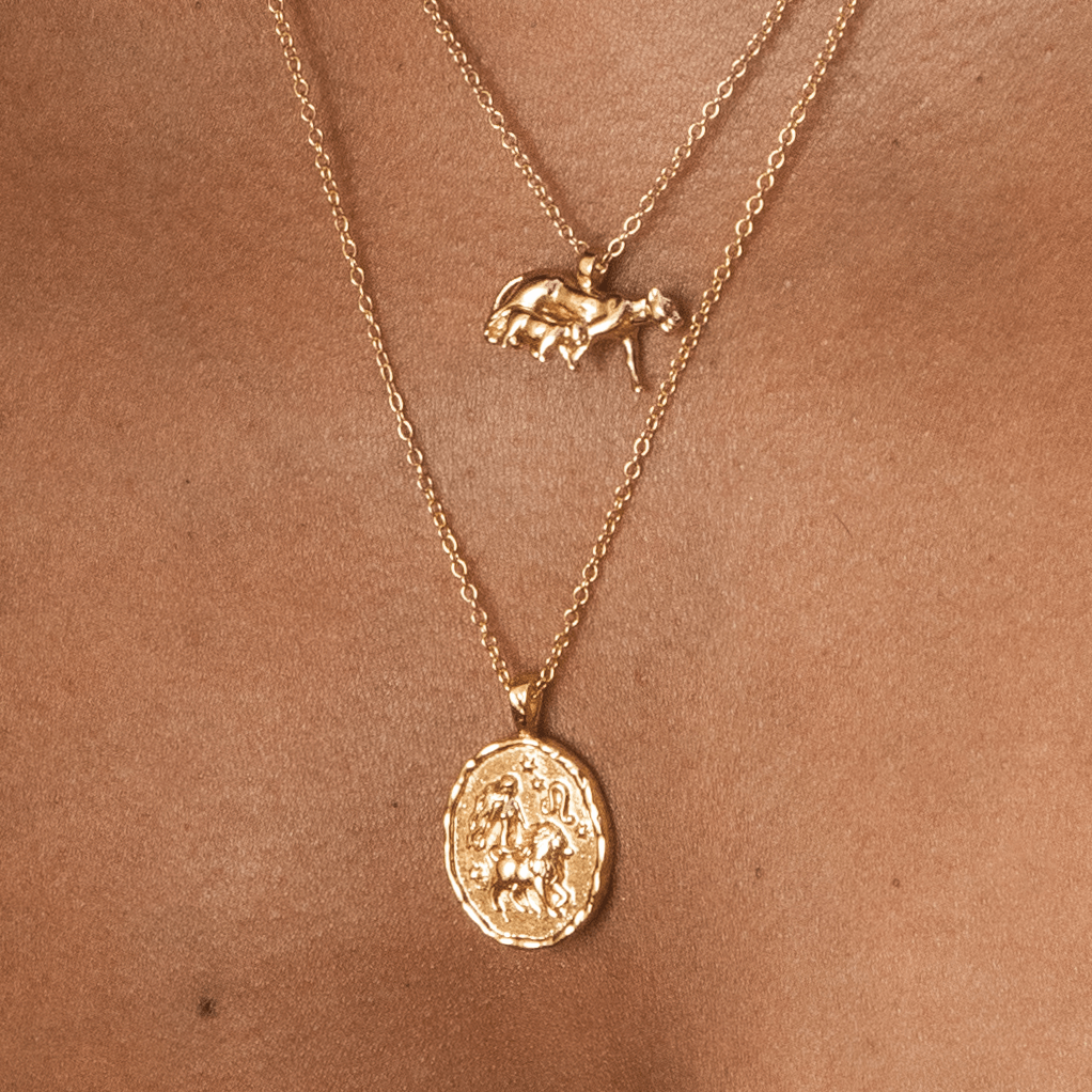Leo Zodiac Necklace