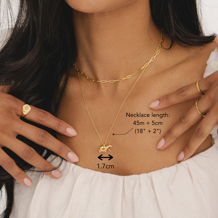 Lioness Necklace (Sample)