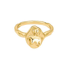 Womens jewellery by Rani and Co featuring the Goddess Aphrodite Ring in radiant hammered gold plating