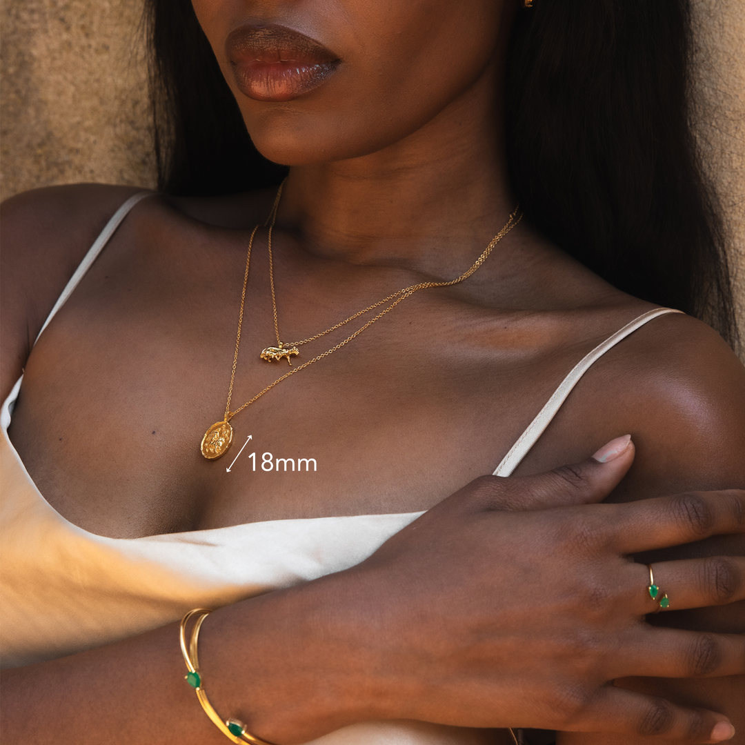 Leo Zodiac Necklace